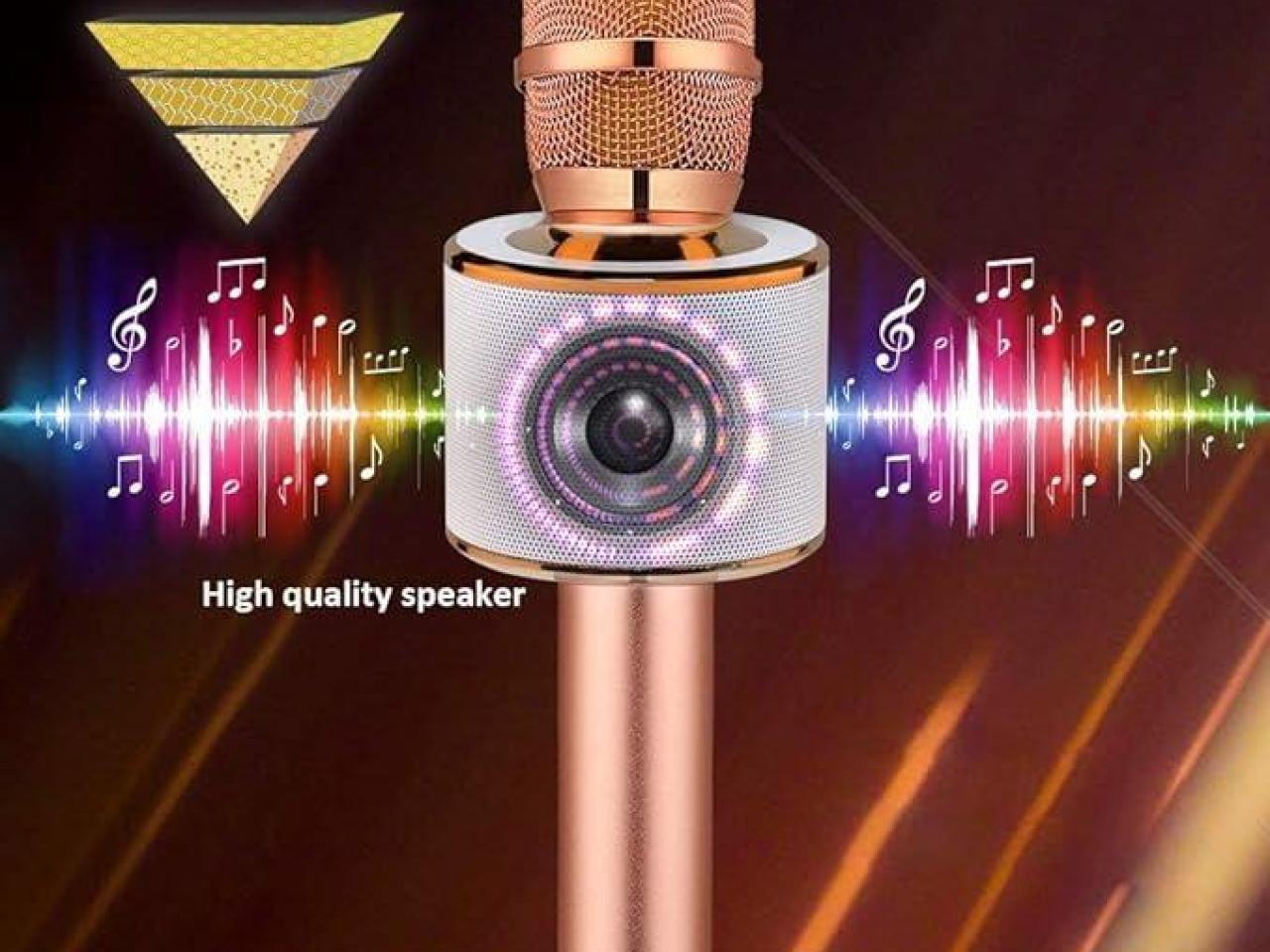 BONAOK Wireless Bluetooth Karaoke Micro..