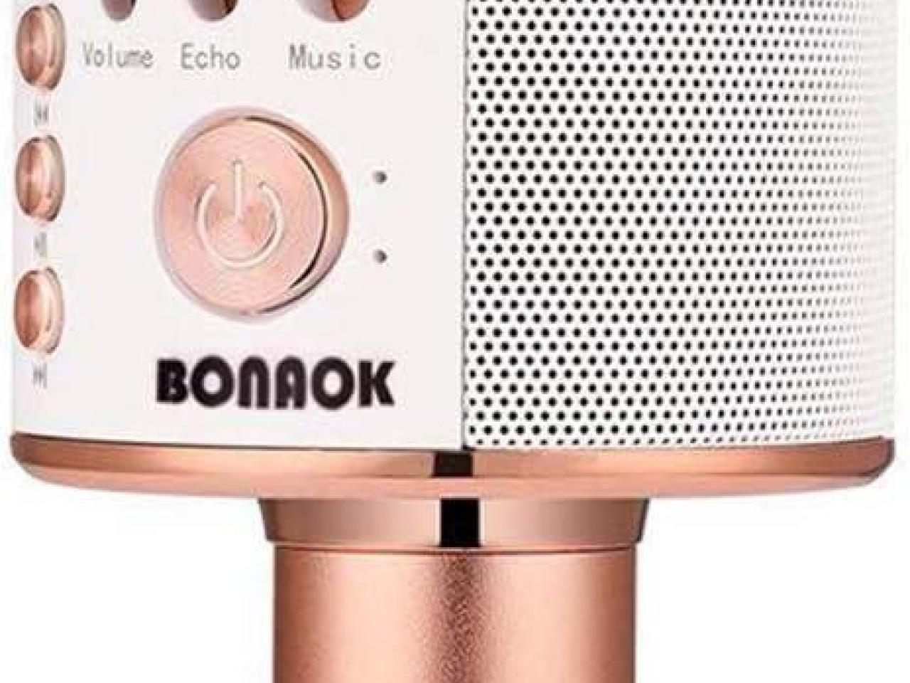 BONAOK Wireless Bluetooth Karaoke Micro..