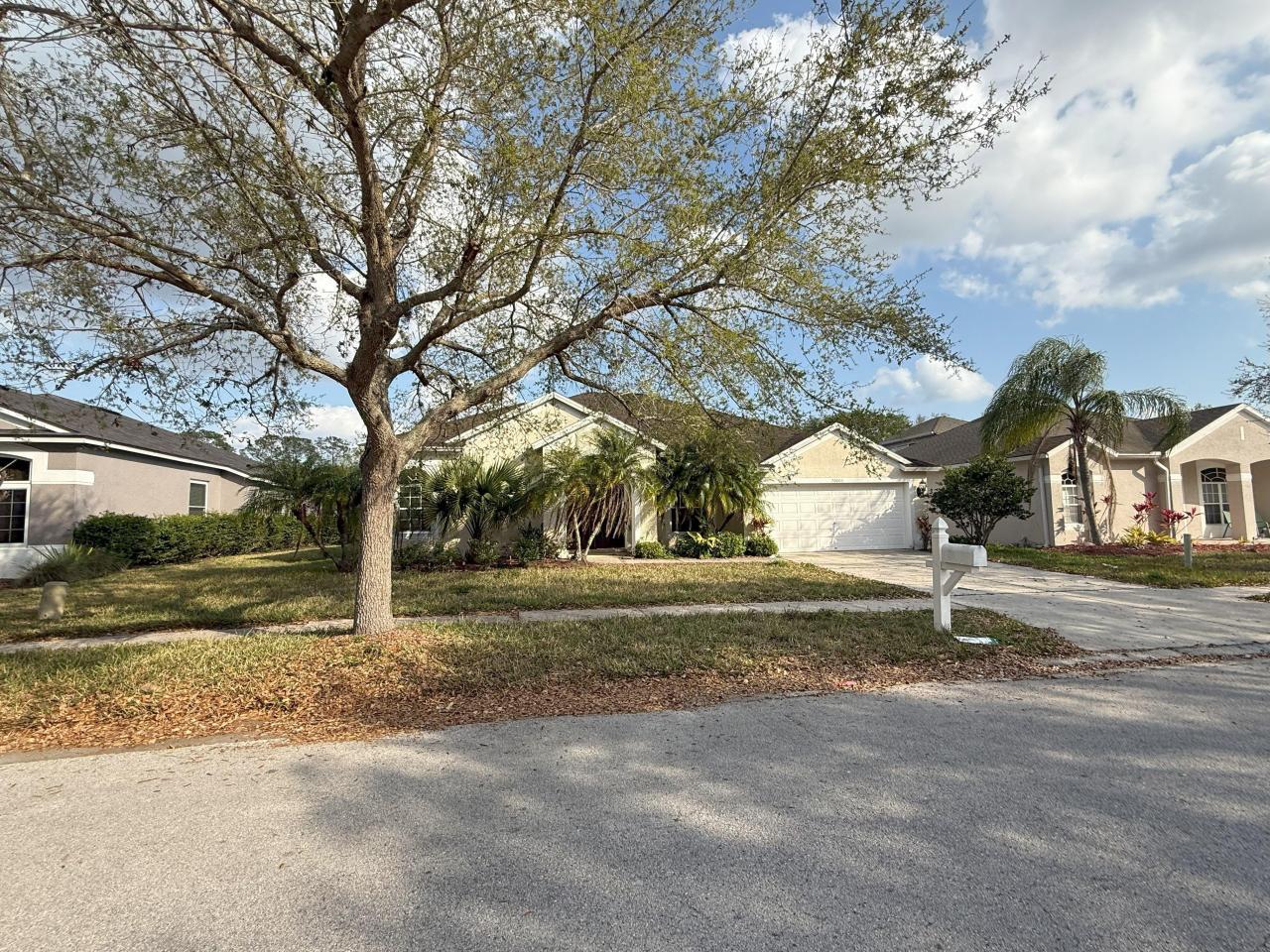 ✅ Lease-to-Own – No Bank Needed!