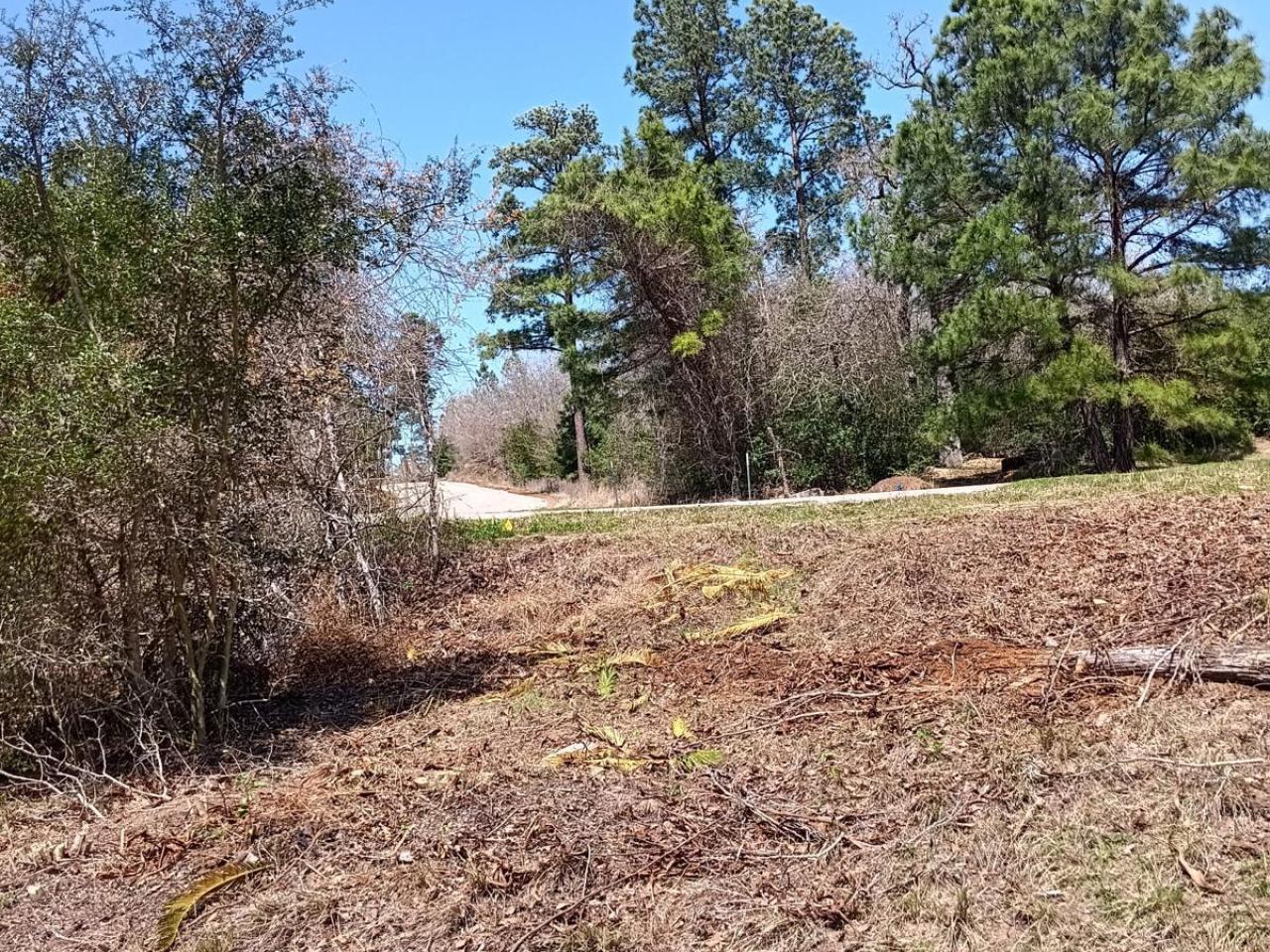 Lot For Sale in Tahitian Village, Bastrop, TX