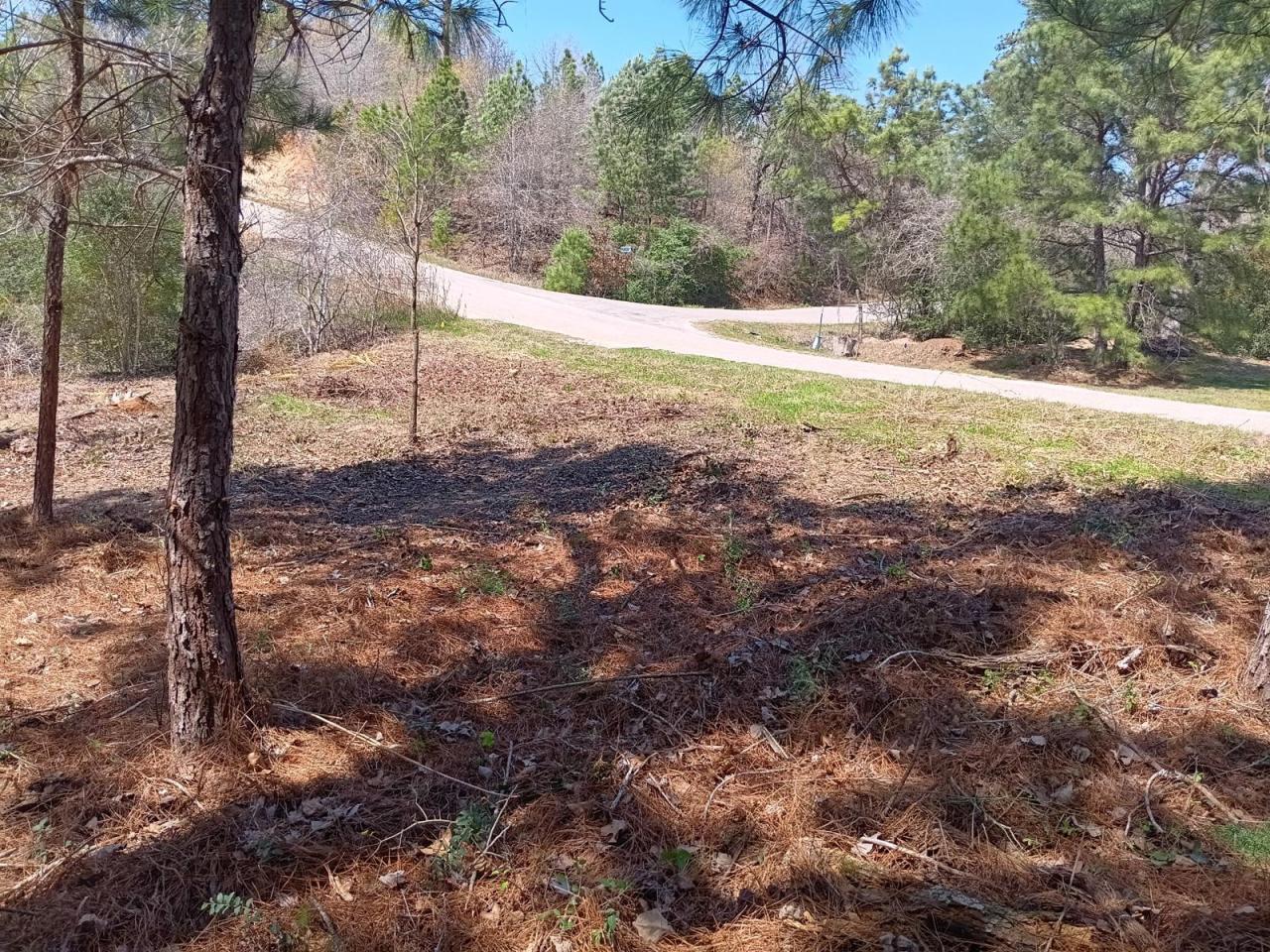 Lot For Sale in Tahitian Village, Bastrop, TX