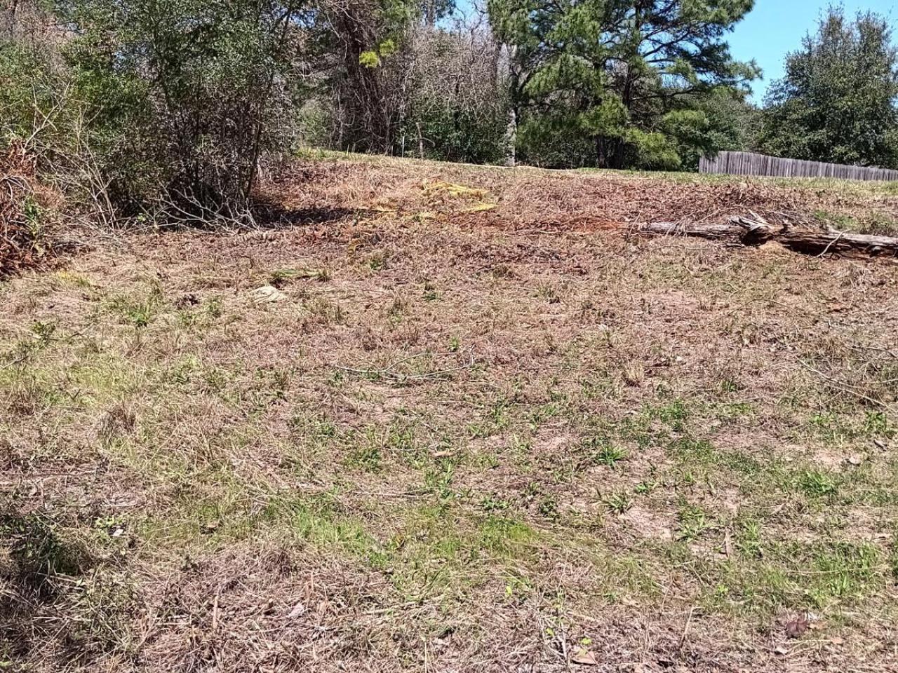 Lot For Sale in Tahitian Village, Bastrop, TX