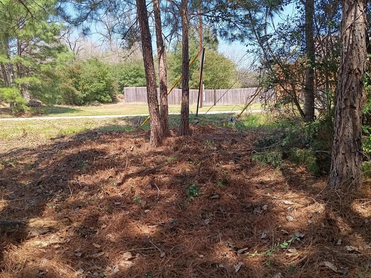 Lot For Sale in Tahitian Village, Bastrop, TX