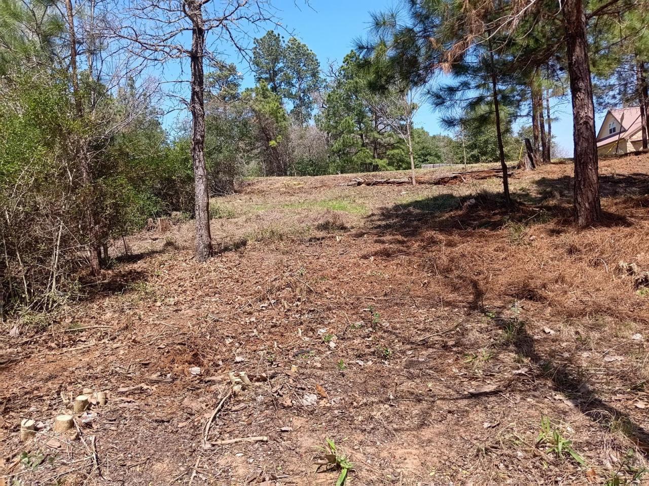 Lot For Sale in Tahitian Village, Bastrop, TX