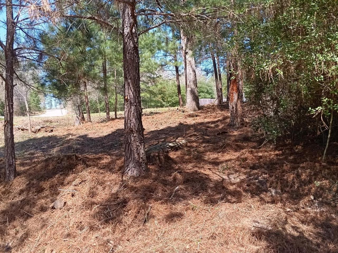 Lot For Sale in Tahitian Village, Bastrop, TX