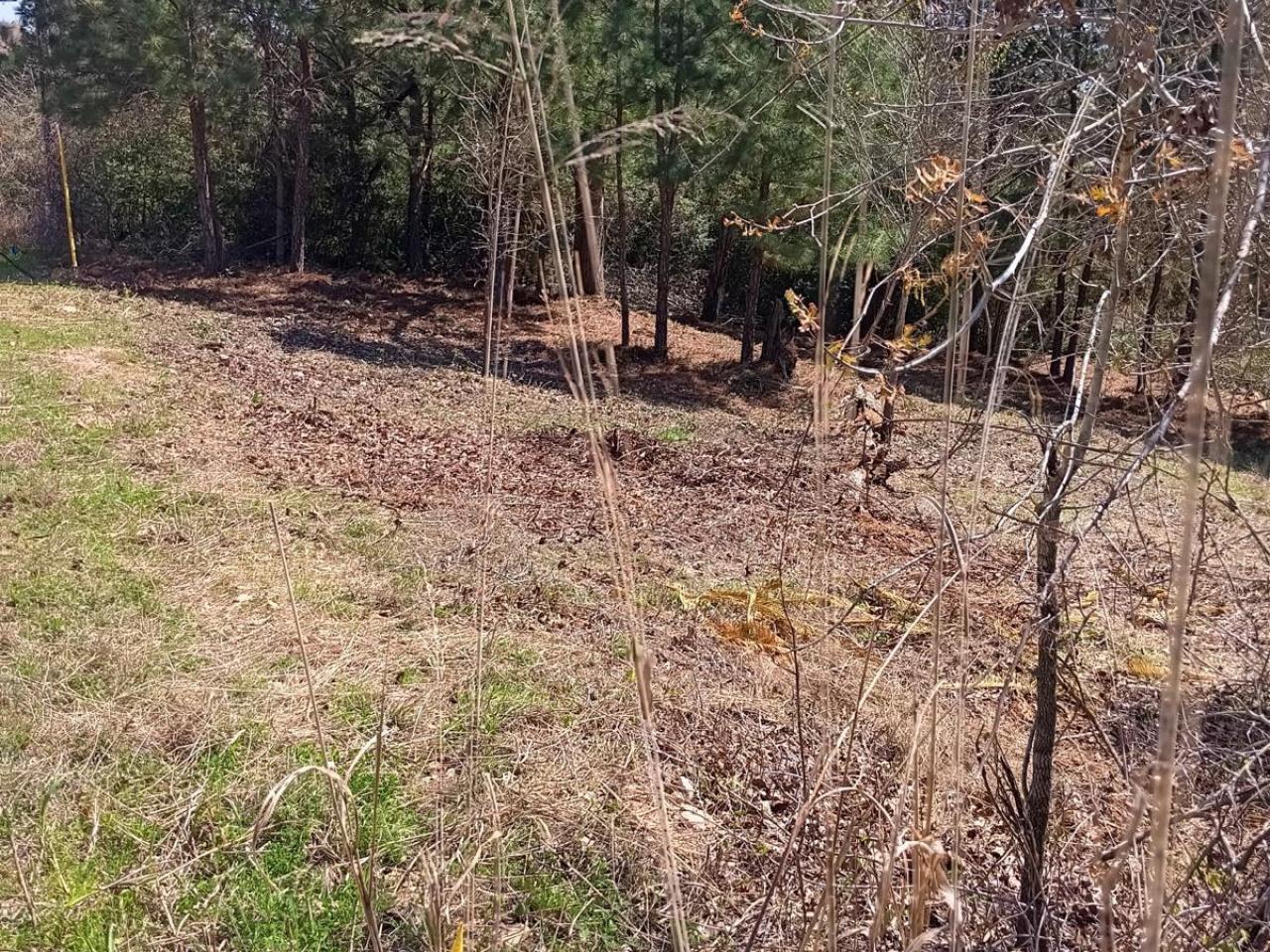 Lot For Sale in Tahitian Village, Bastrop, TX