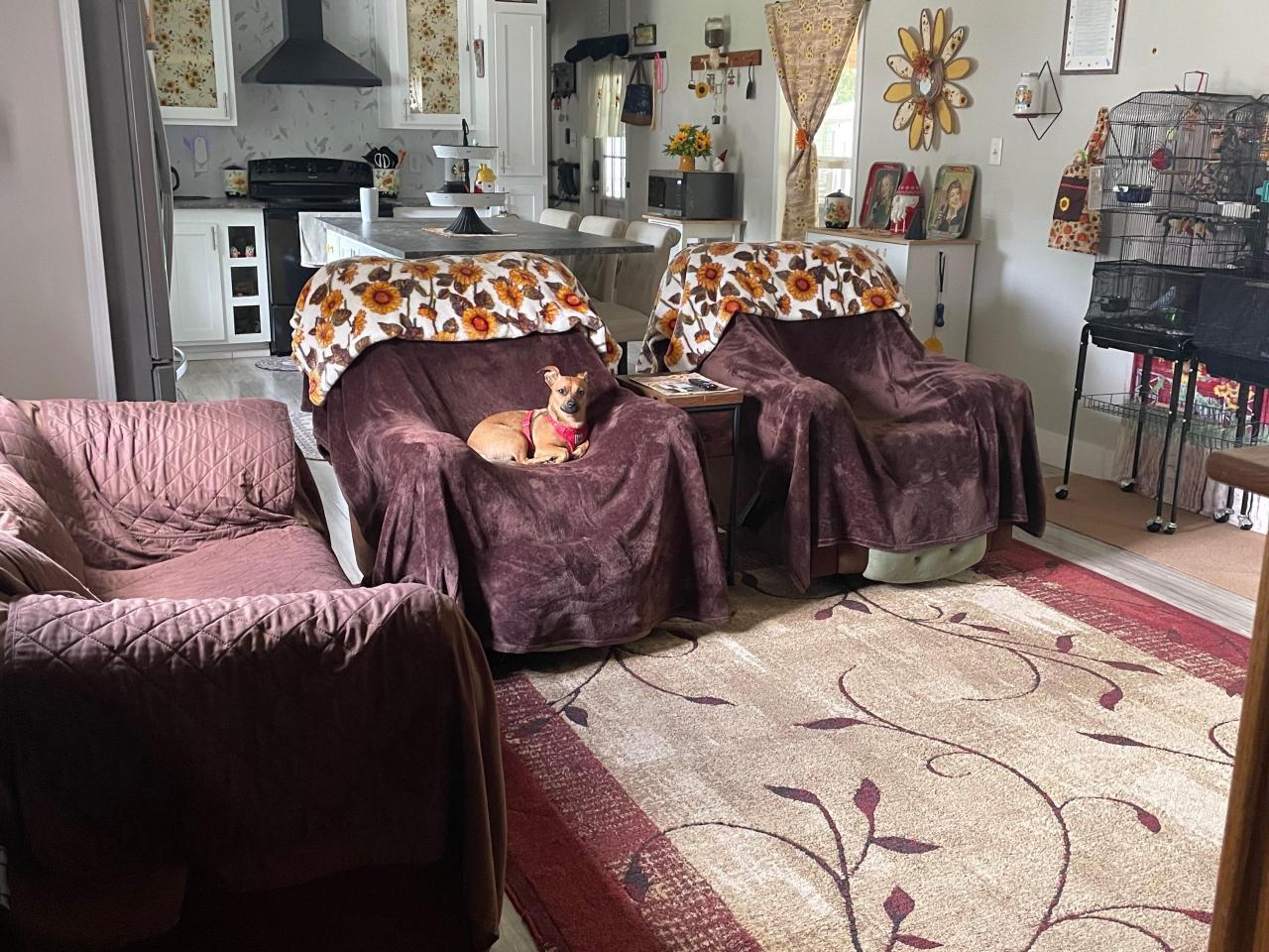 2015 Mobile Home